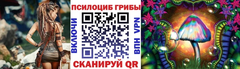 купить наркоту  мориарти Telegram  Псилоцибиновые грибы Cubensis  Ульяновск 