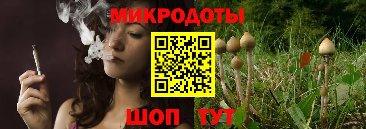 Галлюциногенные грибы мухоморы  Галлюциногенные грибы прущие грибы  где купить   Вход с VPN  Ульяновск 