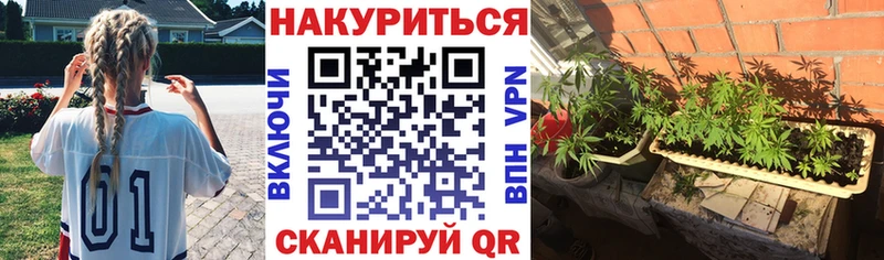 сколько стоит  Ульяновск  Бошки Шишки семена 